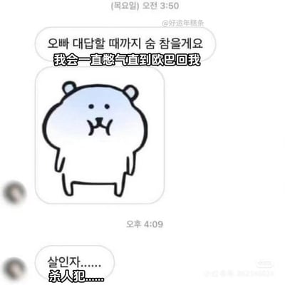 这是一张聊天记录形式的搞笑梗图，上午3:50发送的消息配文“我会一直憋气直到欧巴回我”，并附带一个鼓起腮帮子、做出憋气姿态的卡通小动物表情包；时隔近13小时后，下午4:09收到回复“杀人犯……”。通过夸张的时间跨度和反差感极强的回复，用搞笑的方式吐槽等待消息回复时间过长的崩溃感，将长时间不回消息的人调侃成“杀人犯”，制造出荒诞的喜剧效果。