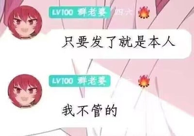 图片展示了两个相同的红头发卡通女孩头像，上方均标注“LV100 群老婆”及火焰图标。每个头像下方对应一句对白，分别为“只要发了就是本人”和“我不管的”。背景为淡粉色，带有白色线条装饰，整体呈现出一种网络聊天场景中强势、固执的表达风格。