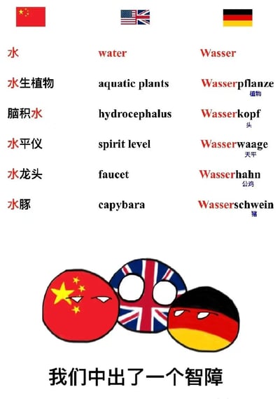 这是一张吐槽德语构词特点的波兰球风格搞笑梗图，图中通过对比中文、英语、德语中带“水”语义的词汇构成，突出中文和德语都使用核心词拼接的构词逻辑，而英语无相关规律，但又调侃德语构词过于直白生硬，直接拼接两个独立单词组成新词义，下方搭配三个对应国家/区域的波兰球形象和配文“我们中出了一个智障”，用玩笑的方式吐槽德语的构词特征。