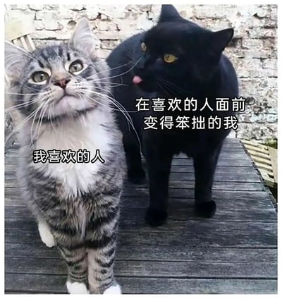 图片展示了两只猫的有趣对比：前景是一只表情略显呆滞、抬头仰望的灰白相间虎斑猫，图片标注为'我喜欢的人'；背景是一只黑色猫咪，正伸出舌头舔向虎斑猫，标注文字为'在喜欢的人面前变得笨拙的我'。两只猫站在木质地板上，背景是斑驳的砖墙。这张图通过猫咪的可爱形象和拟人化文字，幽默地表现了人们在喜欢的人面前常常感到紧张笨拙的心理状态。