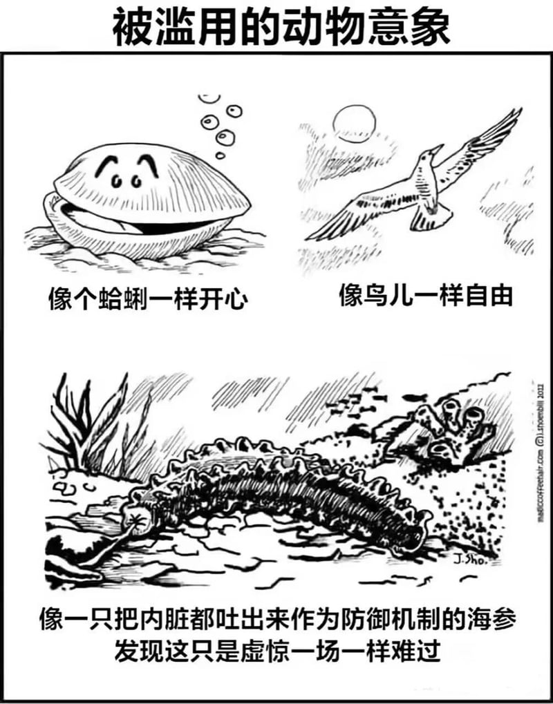 鸟