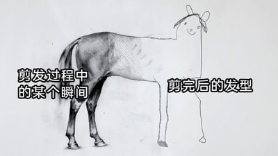 这是一张充满创意的手绘静态梗图，采用左右对比的呈现方式，将一匹马的身体分割为两个风格迥异的部分：左侧是写实素描风格绘制的马的后半段身体，搭配文字“剪发过程中的某个瞬间”；右侧是简笔画风格的卡通马头，带着温和的微笑，头部还有类似发饰的线条，搭配文字“剪完后的发型”。图中用马的身体和头部的强烈反差，幽默地调侃了剪发后形象与预期不符、变化巨大的尴尬场景，把剪发的过程和结果具象化，极易引发有过类似糟糕剪发体验的网友共鸣，充满趣味性和网感。