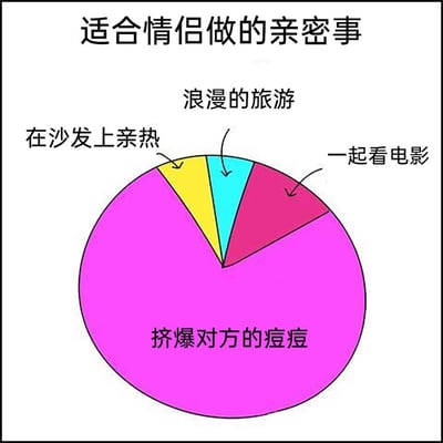 这是一张以“适合情侣做的亲密事”为主题的搞笑饼图，通过夸张的比例制造幽默效果。饼图中“挤爆对方的痘痘”占据了绝大部分的面积，其余小部分分别对应“一起看电影”“浪漫的旅游”“在沙发上亲热”这几个常规的情侣亲密活动，用接地气又搞笑的内容调侃情侣之间独特的、充满烟火气的亲密互动方式，反差感拉满，让人觉得好笑又真实。