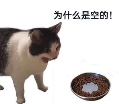 这是一张经过P图改编的搞笑表情包，画面左侧是一只黑白花色的猫咪，它嘴巴大张，露出惊讶又崩溃的表情，目光看向画面右下角的猫粮碗。这个猫粮碗的猫粮只在碗的边缘摆放，中间区域是空的，看起来像是碗里没粮了，画面上方配文“为什么是空的！”。图片利用视觉错觉，制造出猫咪误以为碗空了的搞笑场景，实际上碗里是有粮的，只是分布在边缘，以此来调侃那种看似有实际却让人空欢喜的情况，充满了反差感和趣味性。