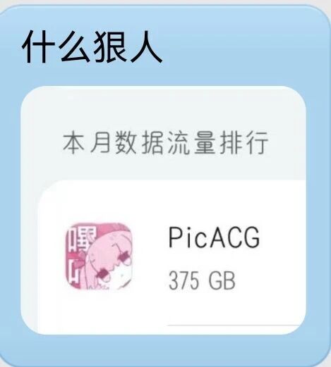 PicACG应用