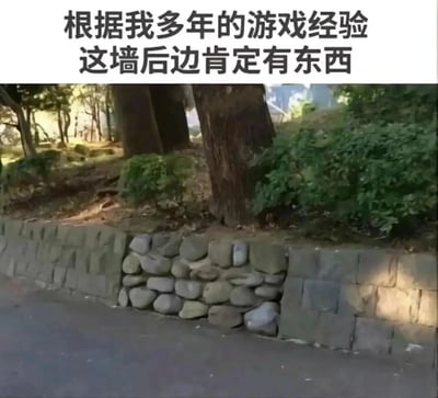这张梗图由一张真实照片和顶部文字组成，照片展示了一段户外石墙，其中有一部分由不规则石头堆砌而成，与周围规整的石墙形成对比。顶部文字写着'根据我多年的游戏经验 这墙后边肯定有东西'，幽默地表现了游戏玩家看到可疑地形时的本能反应，暗指游戏中常见的隐藏道具或通道设计。