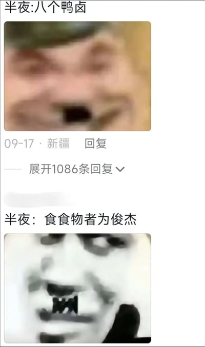这是一组社交媒体评论区的回复截图，分为上下两部分：上方是2024年09月17日来自新疆的用户回复，配了一张表情扭曲的真人模糊脸图，文案为“半夜:八个鸭卤”，是日语“八个雅鹿（不要）”的谐音，用来表达半夜想吃卤鸭货却又纠结的矛盾心情，该回复有1086条可展开的后续回复；下方回复文案为“半夜:食食物者为俊杰”，是“识时务者为俊杰”的谐音，配了一张熊猫头搞怪表情包，表达半夜要顺应自己的食欲、想吃就吃的摆烂心态，整体内容用谐音梗调侃了当代人半夜嘴馋的日常状态，引发网友共鸣。