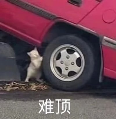 图片中一只白色小猫站立在红色汽车的后轮旁，用前爪奋力抵住轮胎，身体微微后仰，仿佛在努力支撑或推动汽车。地面散落着一些枯叶，背景为灰色路面。图片底部有白色文字“难顶”，幽默地呼应了小猫吃力的姿态，生动表达出“难以承受”“处境艰难”的感受，整体画面可爱又充满喜剧效果。