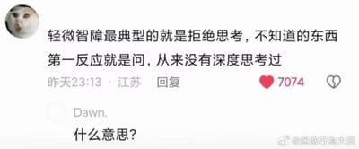 一张社交媒体评论截图，展示了一个讽刺场景：有人评论说"轻微智障最典型的就是拒绝思考，不知道的东西第一反应就是问，从来没有深度思考过"，而另一个用户Dawn.立即回复"什么意思?"，恰好体现了前者所描述的行为。这种问答形式形成了有趣的自我指涉和反讽效果。