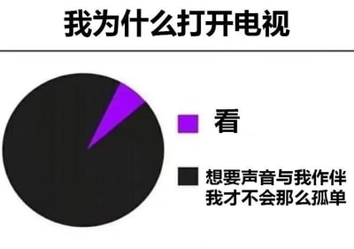 图片上方有黑色文字标题“我为什么打开电视”，下方是一个饼图。饼图中紫色小扇形区域标注“看”，占比很小；黑色大扇形区域标注“想要声音与我作伴 我才不会那么孤单”，占比极大。通过夸张的比例对比，幽默地表达了人们打开电视并非主要为了观看内容，更多是为了借助电视声音缓解孤独感的现象。