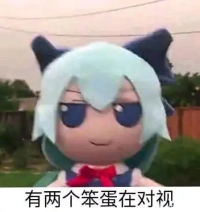 图中展示的是《东方Project》角色琪露诺的毛绒玩偶（fumo系列），玩偶表情戏谑，眼神带着欠揍感直视镜头，图片下方配有文字“有两个笨蛋在对视”。这张图的趣味点在于互动式调侃：当观看者和玩偶对视时，就会被调侃成是文字里提到的其中一个“笨蛋”，属于带有互动属性的搞笑梗图。