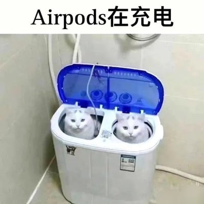 这是一张趣味搞笑梗图，图的顶部配文“Airpods在充电”，下方主体为一台打开蓝色上盖的双桶迷你洗衣机，两个桶内各有一只外观高度相似的白色猫咪，仅露出头部，两只猫咪都为白色毛发，额头带有相似的浅灰色纹路，表情平静看向镜头，和放在充电盒中的一对Airpods耳机在外形上高度相似，通过外形类比制造出搞笑的玩梗效果。
