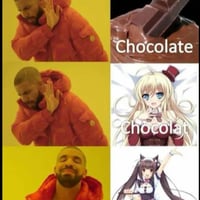 猫娘乐园