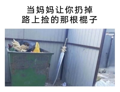 图片上方配有文字'当妈妈让你扔掉路上捡的那根棍子'，下方是一张实拍照片：绿色垃圾桶旁的墙边斜靠着一根被遗弃的棍子，棍子末端似有装饰，幽默展现了孩子眼中视为'宝贝'的捡来棍子，在妈妈要求下不得不丢弃的无奈又搞笑场景。
