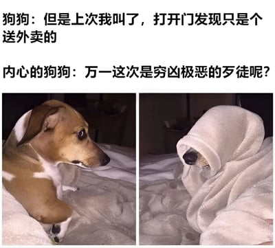这是一张左右对比的双 panel 梗图，上方配有文字对话。左侧画面中，一只棕白相间的狗狗侧躺在毯子上，耳朵竖起，眼神警觉地望向一侧，配文“狗狗：但是上次我叫了，打开门发现只是个送外卖的”。右侧画面中，同一只狗狗用白色毯子将整个头部蒙住，只露出黑色的鼻子，配文“内心的狗狗：万一这次是穷凶极恶的歹徒呢？”。图片通过拟人化手法展现狗狗对外界声响的过度思考，形成幽默反差。