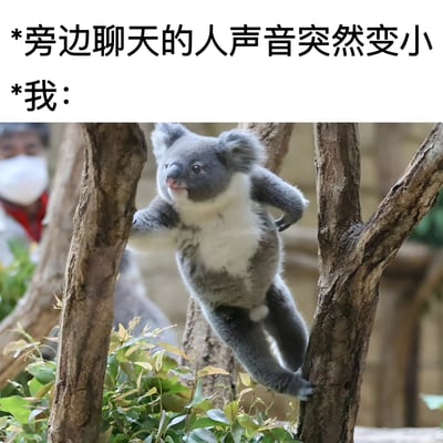 图片上方有两行文字：'*旁边聊天的人声音突然变小 *我：'，下方是一只考拉攀爬在树枝上，身体微微前倾，耳朵竖起，眼神好奇地望向一侧，仿佛在仔细倾听周围突然变小的谈话声。背景中隐约可见戴着口罩的人影，整体营造出一种日常生活中对他人谈话声音变化产生好奇反应的搞笑场景。