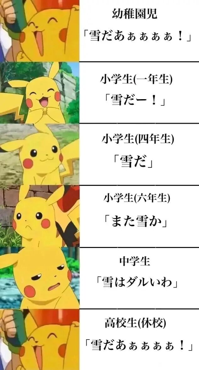 《宝可梦》系列动画