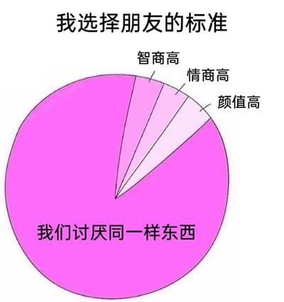 这是一张以“我选择朋友的标准”为主题的趣味饼图，通过夸张的比例设置来调侃当代人的交友心态。饼图的绝大部分区域被“我们讨厌同一样东西”占据，剩余极小的部分被分割为“智商高”“情商高”“颜值高”三个小板块，直观地表达出在交友时，和对方拥有共同讨厌的事物，比起智商、情商、颜值这些个人特质，是更核心的交友标准，精准戳中了很多人在交友时的真实心理，充满趣味性和共鸣感。