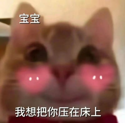 一张猫咪表情包，画面中是一只橘色猫咪的特写，它有着大大的眼睛和明显的腮红效果，看起来非常可爱。图片上方有文字“宝宝”，下方有文字“我想把你压在床上”，形成一种反差萌的幽默效果。猫咪的表情看起来既害羞又带着一丝调皮，整体给人一种可爱又搞笑的感觉。