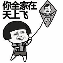 你全家在天上飞 风筝表情包