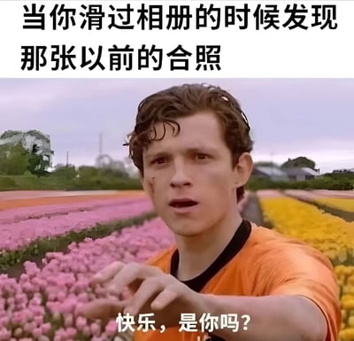 图片上方配有文字“当你滑过相册的时候发现那张以前的合照”，下方是一片色彩鲜艳的花田背景，前景中一名穿着橙色上衣的男子表情惊讶，伸手向前，底部叠加文字“快乐，是你吗？”。整体通过场景与文字结合，表达了人们在翻阅旧相册看到过往合照时，意外邂逅曾经快乐时光的怀旧与感慨情绪。