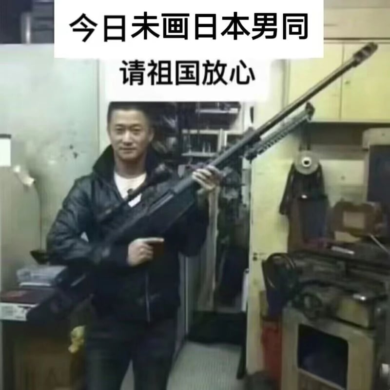 《战狼》系列等