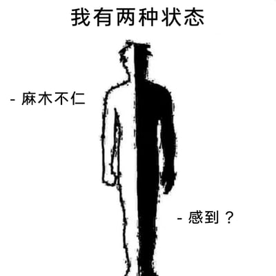 这是一张黑白风格的抽象情绪梗图，画面中心是一个被垂直分割成黑白两半的人形图案，顶部配有文字“我有两种状态”，白色半身旁标注“麻木不仁”，黑色半身旁标注“感到？”。用这种割裂的视觉效果，精准表达当代人常陷入的两种极端精神状态：要么对外界事物麻木无感，要么被强烈的未点明的负面情绪裹挟，留下的问号让这种模糊又强烈的情绪更具共鸣感，戳中很多人在精神状态上的矛盾与疲惫。