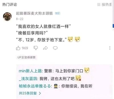 这是一张社交媒体评论区的静态截图，内容围绕一条恶意低俗玩笑展开。顶部显示为“热门评论”，按热度排序，用户“起脚暴踩麦犬狗末頭骸”在8月22日发布了一段对话式玩笑：先以“我喜欢的女人就像红酒一样”引出话题，在虚拟的提问“晚餐后享用吗？”后，回复“不，12岁，存放于地下室。”，并附带两个吐舌狗头表情，这条评论获得了969个赞，还得到了UP主的点赞认可。在该评论下方，有三条用户回复：“min新人上路”调侃“警察:马上到你家门口”并附带狗头表情；“_浅灰蓝鸽”用谐音梗“我铐，这也太刑了吧”（“铐”谐音“靠”，“刑”谐音“行”，暗指该玩笑内容涉及违法犯罪），同样附带狗头表情；“帧帧永远单推るる”则发了摊手表情并表示“你继续说，我在听”。评论区共有25条回复，整体是网友针对这条恶劣玩笑的互动，其中部分回复用谐音梗点出该玩笑涉及的违法性质。