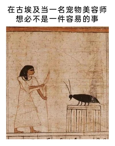这是一张经过趣味化二次创作的古埃及壁画梗图，画面主体是古埃及壁画内容：一位身着古埃及传统服饰的人物，手持类似美容理发的器具，面对站在台座上的大型黑色昆虫（外形酷似蟑螂）。画面上方配文“在古埃及当一名宠物美容师想必不是一件容易的事”，用现代职场中的“宠物美容师”概念，对古埃及壁画里的场景进行了反差式搞笑解读，将原本可能和宗教、仪式相关的壁画内容，调侃成给特殊“宠物”做美容的职场场景，制造出荒诞幽默的效果。