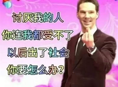 图片背景为紫色带有花纹图案，中央是一位穿着深色西装的男子，面带微笑，右手竖起中指指向镜头。图片上叠加有白色文字：“讨厌我的人 你连我都受不了 以后出了社会 你要怎么办？”。整体风格带有讽刺和幽默意味，通过男子的挑衅手势与文字结合，表达对无法容忍他人者的调侃。