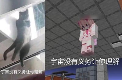 这是一张左右拼接的趣味梗图，左侧是真实拍摄的黑猫，以违背日常逻辑的姿势卡在窗框上方，四肢自然下垂，完全不符合常规的动物行为和物理规则；右侧是沙盒游戏《我的世界》（Minecraft）的玩家截图，一个自定义的像素风格角色贴在天花板上，同样呈现出反物理的离谱状态。两张图的下方都配有相同的文字「宇宙没有义务让你理解」，用现实与游戏中两种反常识的画面，调侃那些无法用常规逻辑解释的离谱场景，传递出面对不合理事物时的无奈与搞笑吐槽情绪，没有双关或谐音梗的设计。