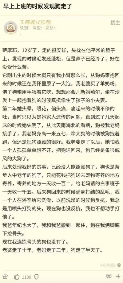 这是一张社交媒体截图，内容为用户“王麻威戍成都”发布的帖子，讲述了自己12岁的萨摩耶犬安详离世的故事。帖子中回忆了从狗狗出生时的点滴、与妻子新婚时共同照顾狗狗的温馨时光，到妻子患病失明、母亲接手照顾狗狗，再到母亲去世后狗狗寄养、最终离世的经历，字里行间充满了对狗狗的不舍以及对逝去亲人的怀念，情感真挚，令人动容。