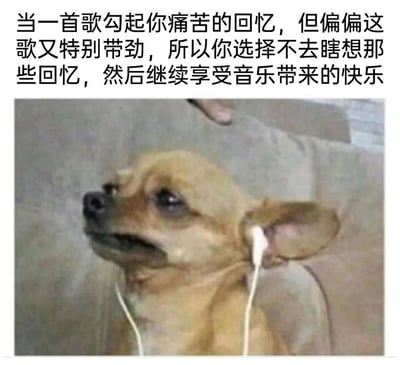 这是一张图文结合的静态趣味梗图，图上方配有一段精准描述日常矛盾情绪的中文文字：“当一首歌勾起你痛苦的回忆，但偏偏这歌又特别带劲，所以你选择不去瞎想那些回忆，然后继续享受音乐带来的快乐”；图下方是一只浅棕色的吉娃娃，它的耳朵上戴着白色有线耳机，眉头微皱、嘴角向下撇，面部表情纠结又痛苦，仿佛正被脑海中的回忆拉扯，却又因为耳机里的歌曲足够好听而强撑着继续聆听，小狗的神态完美呼应了配文所表达的矛盾心境，能够让观者产生强烈的情绪共鸣，十分贴切地还原了人们在生活中遇到类似“喜爱的事物附带负面回忆”时的纠结状态。