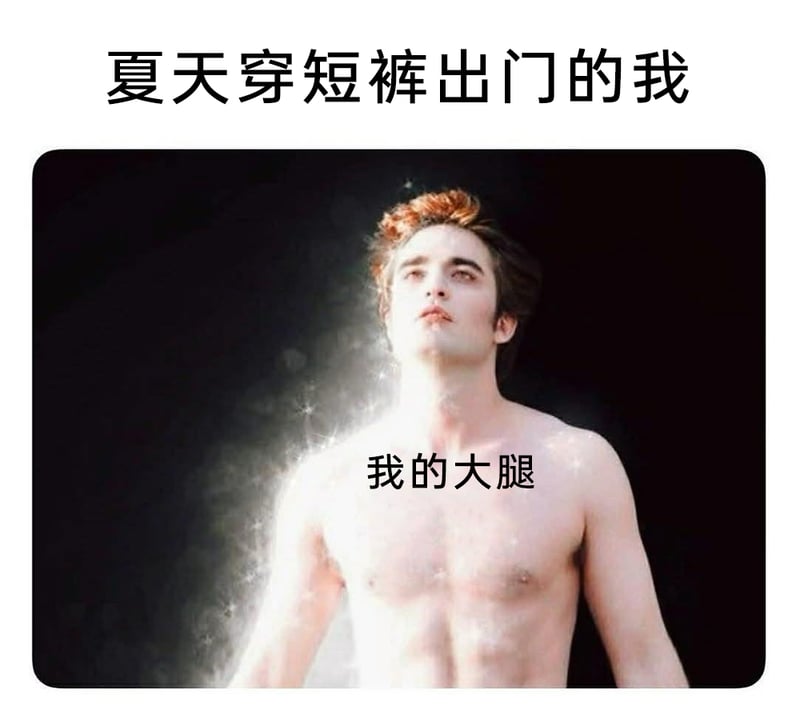 《暮光之城》系列电影