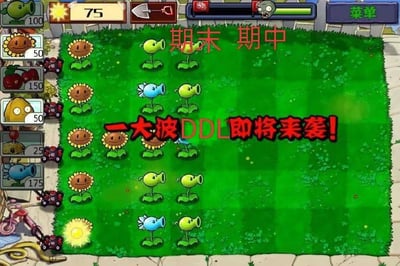 这是一张改编自塔防游戏《植物大战僵尸》的趣味梗图，将游戏中“僵尸来袭”的紧张场景与学生、打工人的现实焦虑结合。图中保留了游戏的经典草坪种植界面，左侧是可选择的植物栏，草坪上种植着向日葵、豌豆射手、寒冰射手等游戏角色，原本提示“僵尸来袭”的文字被修改为“一大波DDL即将来袭！”，同时在草坪上方标注“期末 期中”，对应游戏里僵尸进攻的方向，用游戏中需要紧张防守的氛围，生动调侃了当代学生在学期中，被期中、期末考和各种任务截止日期（DDL）轮番轰炸的压迫感，精准戳中群体的学业与任务压力痛点。