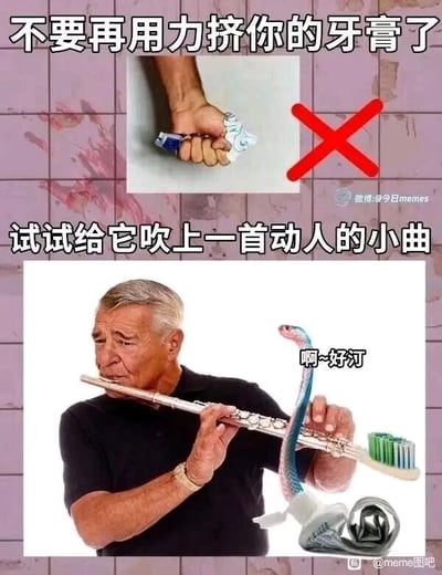 这是一张上下对比的搞笑P图，上半部分展示了一只手用力挤压牙膏的场景，配文“不要再用力挤你的牙膏了”，并标注红色叉号表示否定这种行为；下半部分是经过创意改编的内容，创作者将牙膏管和牙刷P成了蛇的外形，一位白发老人正对着它吹奏长笛，被P成蛇的牙膏旁边配有对白“啊~好汀”，其中“好汀”是“好听”的谐音梗，同时配文“试试给它吹上一首动人的小曲”，用完全不符合常理的荒诞行为替代挤牙膏，通过强烈的反差感和谐音梗制造出幽默搞笑的效果，属于典型的meme类娱乐内容。