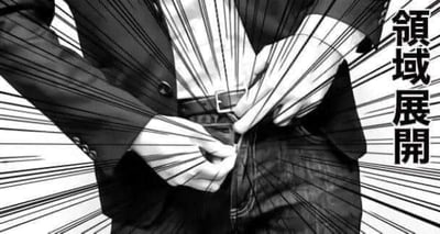 该图片借鉴了漫画中常用的爆炸线风格，内容为一名男性正准备解开裤链，画面右侧配有夸张字体的“领域展开”字样，突显紧张或仪式感的场面氛围，具有典型的恶搞和幽默属性。此图常用于网络语境中表达即将开启某种特殊场景或气氛的自嘲、玩笑。