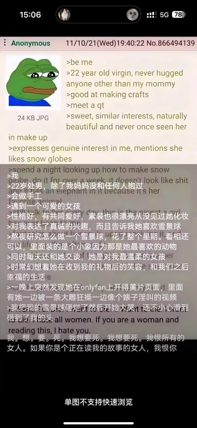 这张梗图以Pepe蛙形象搭配匿名版块的绿色文本，描述了一个22岁宅男（处男）的自述。故事从遇到喜欢雪花球、兴趣相投的女生开始，他满怀期待地了解女生兴趣，更幻想两人的幸福生活。结果却在Onlyfans上发现女生有性感视频和收费内容，顿时心碎，情绪由希望转为极端的失望和仇恨，最后直接抒发对所有女性的强烈厌恶，画面充满崩溃和绝望。

整张图充满二次元圈和互联网亚文化气息，带有极端的情感落差和一些性别对立情绪。结尾的口吻非常夸张，极具网络暴言色彩。

谐音梗和暗示：没有明显谐音，但“雪花球”隐含着宅男的温柔幻想与现实残酷的强烈反差。Onlyfans暗示了现代社交和二创经济的冲突。