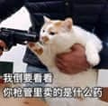 黑手党猫咪持枪威胁表情包