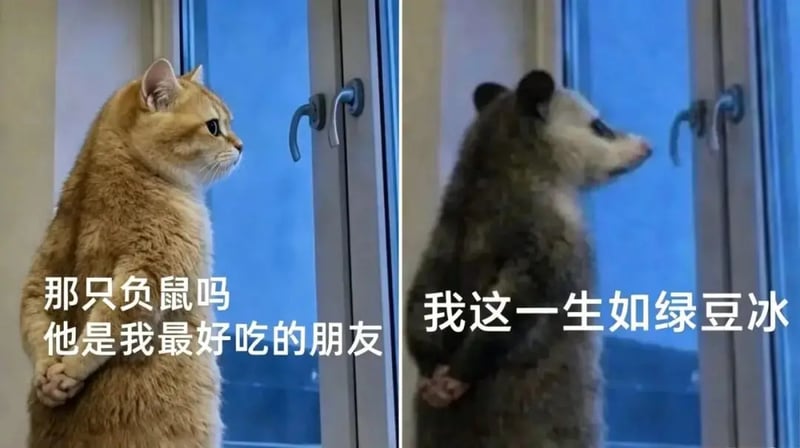 背手负鼠
