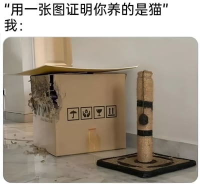 这张梗图通过幽默的方式展示了养猫的真实场景。上方文字写着"用一张图证明你养的是猫"，下方则是一张展示被严重破坏的纸箱和猫抓板的照片。纸箱侧面有大面积撕裂痕迹，旁边的猫抓板也已磨损严重，地上散落着纸屑，生动体现了猫咪喜欢抓挠物品的天性，用物品的损坏状态间接证明了猫的存在，引发养猫人士的共鸣和会心一笑。