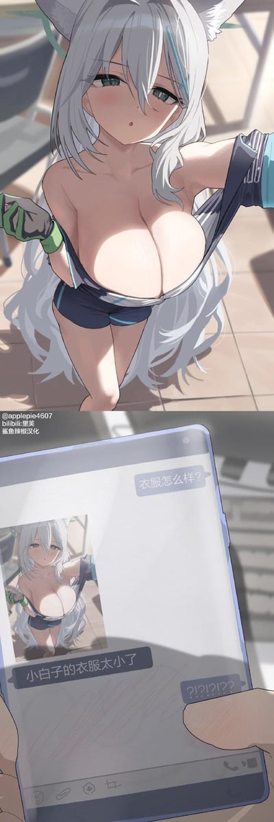 这是一张上下拼接的二次元搞笑梗图，上半部分是游戏《蔚蓝档案》中的角色砂狼白子（小白子），她穿着一件明显过小的上衣，露出害羞窘迫的神情，正拉扯着不合身的上衣；下半部分是手机聊天界面，白子发送自己的照片询问对方“衣服怎么样？”，对方直白回复“小白子的衣服太小了”，白子随即发出一连串问号，表现出震惊又慌乱的反应，通过这种反差制造出搞笑的效果。