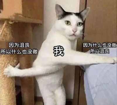 一只黑白相间的猫伸展身体站立着，左侧配有文字“因为沮丧所以什么也没做”，中间标有“我”，右侧文字为“因为什么也没做所以沮丧”。图片幽默地描绘了因沮丧而无所事事，又因无所事事而更沮丧的恶性循环，共鸣了人们偶尔的拖延与低落情绪。