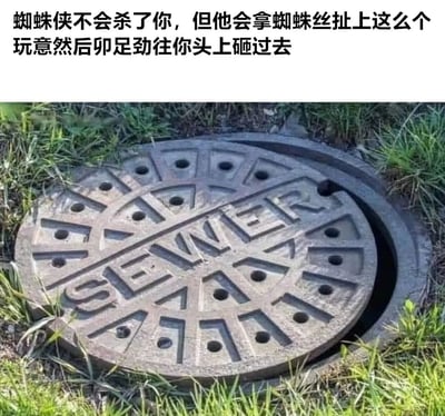 图片上方配有文字“蜘蛛侠不会杀了你，但是他会拿蜘蛛丝扯上这么个玩意然后卯足劲往你头上砸过去”，下方是一张实拍的井盖照片。井盖上有“SEWER”字样，周围长满绿色杂草，整体构图为文字在上、图片在下的图文混排形式，通过将蜘蛛侠的经典形象与日常可见的井盖结合，创造出幽默搞笑的场景，暗示蜘蛛侠会用井盖作为“非致命武器”攻击敌人。