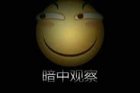 暗中观察 经典笑脸表情包