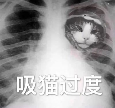 这是一张经过P图改编的静态黑白趣味梗图，创作者将人类胸部X光片的心脏区域替换为一只表情慵懒的猫咪脸部，图片下方配有醒目的白色文字“吸猫过度”。该图用夸张、幽默的方式调侃那些极度喜爱猫咪、频繁与猫咪亲近的“吸猫”人群，仿佛猫咪已经占据了爱猫人士的“整个心”，是对网络上流行的吸猫文化的趣味化表达，通过视觉合成制造搞笑效果。
