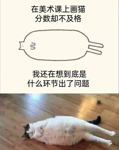 这是一张上下拼接的搞笑梗图，上半部分是一幅用简单线条绘制的抽象猫图，搭配文字“在美术课上画猫分数却不及格 我还在想到底是什么环节出了问题”，表达画猫者对自己作品不及格的疑惑；下半部分是一张真实猫咪的照片，猫咪四脚朝天平躺在木质地板上，其身形、姿态与上半部分的手绘猫高度吻合。整张图通过抽象手绘与真实猫咪的对应，制造出“画得极度写实却未被认可”的反差感，以幽默的方式吐槽这种令人哭笑不得的趣事。