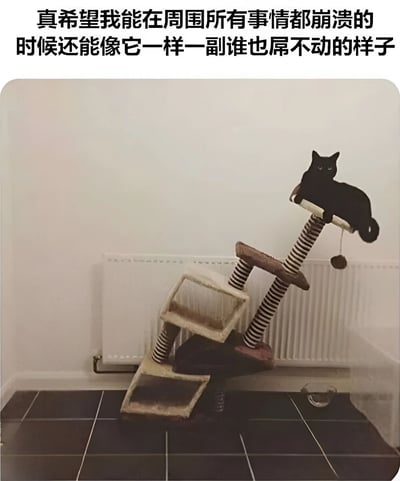 图片上方配有文字：'真希望我能在周围所有事情都崩溃的时候还能像它一样一副谁也屌不动的样子'，下方是一张实拍照片。照片中，一个猫爬架已经明显倒塌变形，支架倾斜、部件松散，但一只黑猫却淡定地趴在猫爬架顶端，眼神平静，仿佛周围的混乱与它无关。整体画面通过猫咪的冷静与环境的崩溃形成对比，表达了人们在面对生活混乱时渴望保持从容心态的愿望。