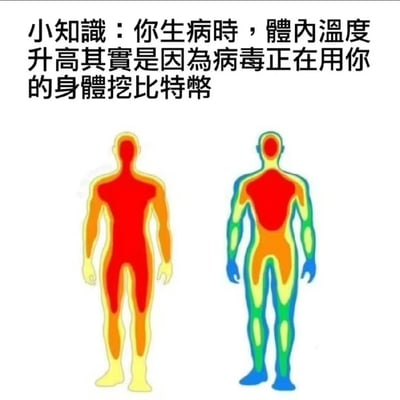 这是一张幽默科普类梗图，上方配有黑色文字“小知识：你生病时，体内温度升高其实是因为病毒正在用你的身体挖比特币”，下方是两张人体热成像图，左侧人体以红色和黄色为主，右侧人体则呈现蓝、绿、黄、橙、红等多种颜色分布。图片通过将生病发烧时的体温升高现象夸张地比喻为“病毒在身体里挖比特币”，利用比特币挖矿需要消耗大量能源产生热量的特点制造幽默效果。
