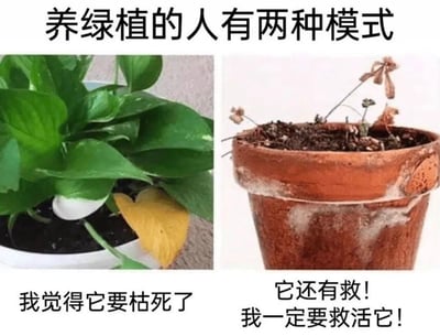 左右对比图展示养绿植的两种典型心态：左侧一盆绿萝叶片翠绿饱满，但因一片黄叶引发担忧，配文“我觉得它要枯死了”；右侧一盆几乎完全枯萎的植物，盆土干裂、茎叶干枯，却配文“它还有救！我一定要救活它！”。通过夸张对比幽默呈现养植者面对植物状态时的矛盾心理，左侧过度焦虑，右侧盲目乐观。